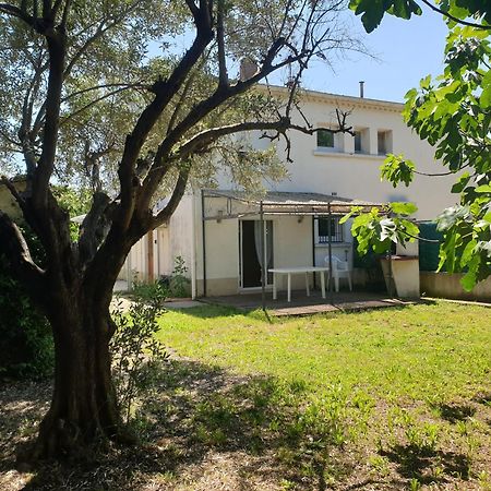 Orteils Au Soleil Jardin Parking Nimes Exterior photo